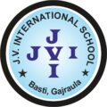 V International School
